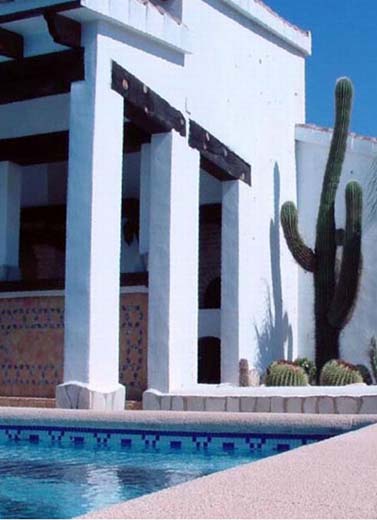 Cactus-_-pool