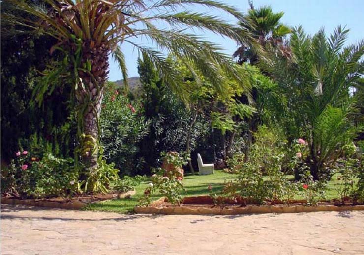 Garden-with-path