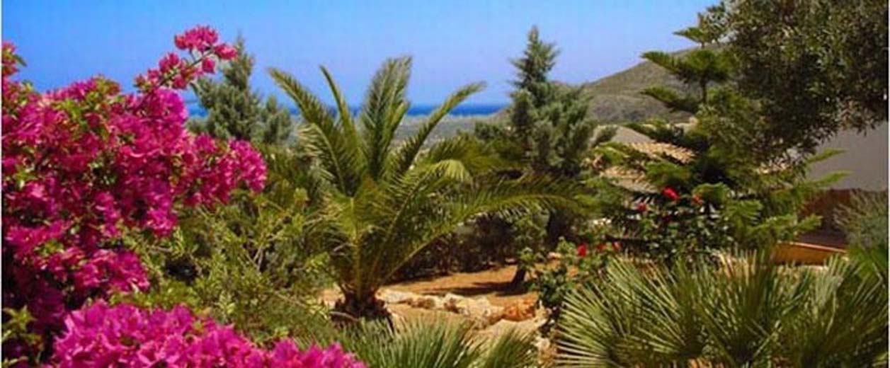 Garden-with-sea-backdrop