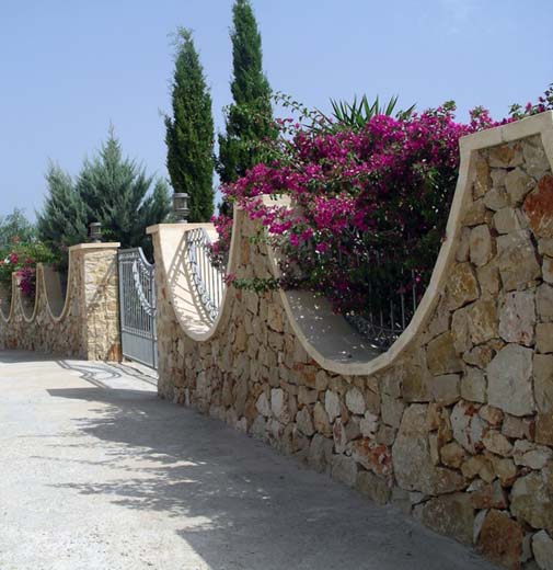 IMGP0051