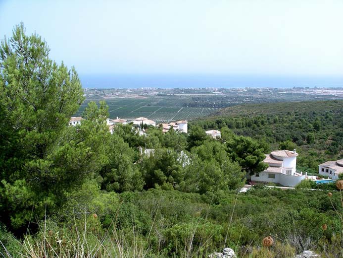 IMGP0052