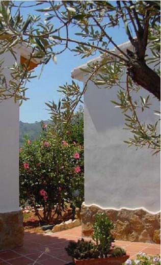 Part-of-villa-_-garden
