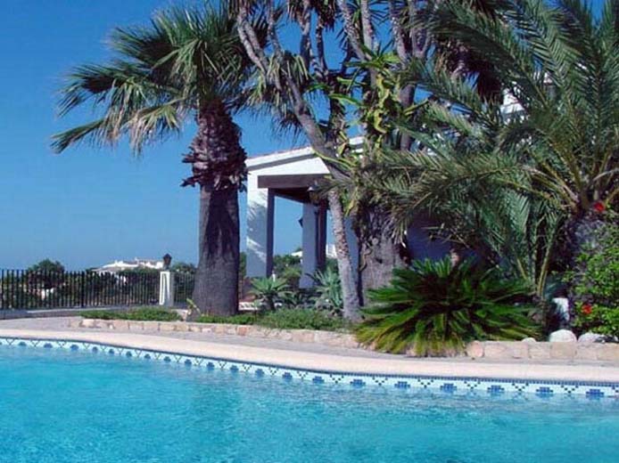 Pool-with-nice-plants-2