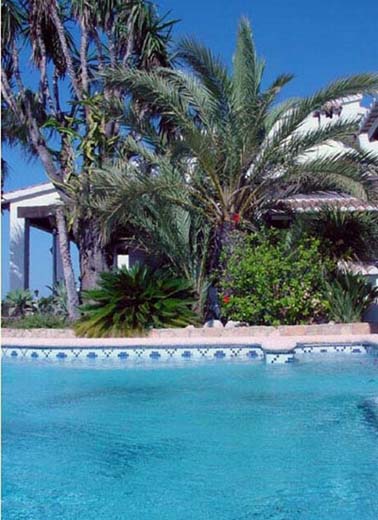 Pool-with-nice-plants