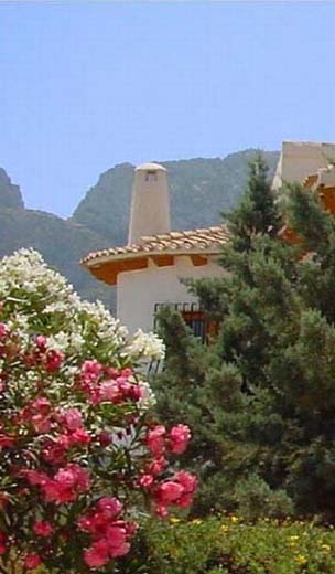 Villa-detail-with-garden-_-