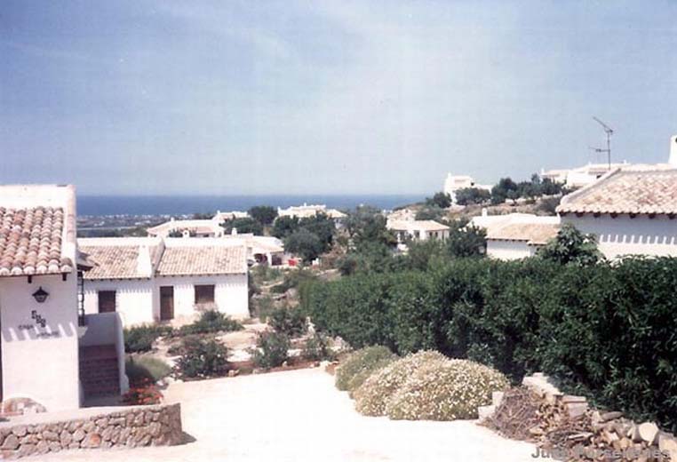 pic1