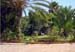 Garden-with-path
