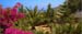 Garden-with-sea-backdrop