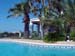 Pool-with-nice-plants-2